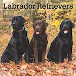 Labrador Retrievers 2025 12 X 24 Inch Monthly Square Wall Calendar Plastic-Free