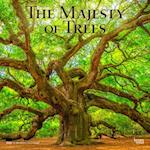 The Majesty of Trees 2025 12 X 24 Inch Monthly Square Wall Calendar Plastic-Free