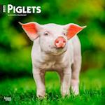 Piglets 2025 12 X 24 Inch Monthly Square Wall Calendar Plastic-Free