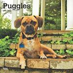 Puggles 2025 12 X 24 Inch Monthly Square Wall Calendar Plastic-Free