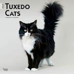 Tuxedo Cats 2025 12 X 24 Inch Monthly Square Wall Calendar Plastic-Free