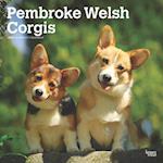 Pembroke Welsh Corgis 2025 12 X 24 Inch Monthly Square Wall Calendar Plastic-Free
