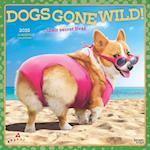 Avanti Dogs Gone Wild Official 2025 12 X 24 Inch Monthly Square Wall Calendar Plastic-Free