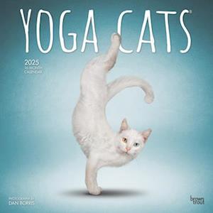 Yoga Cats Official 2025 12 X 24 Inch Monthly Square Wall Calendar Plastic-Free