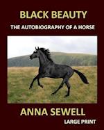 BLACK BEAUTY ANNA SEWELL Large Print: The autobiography of a horse 