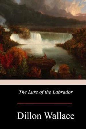 The Lure of the Labrador