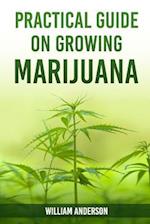 Practical Guide on Growing Marijuana