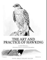 The Art and Practice of Hawking