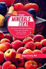 It's Simple Minerals Heal