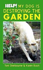 Help! My Dog Is Destroying the Garden