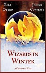 Wizards in Winter