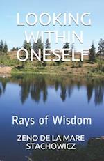 Looking Within Oneself: Rays of Wisdom 