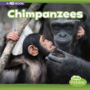 Chimpanzees