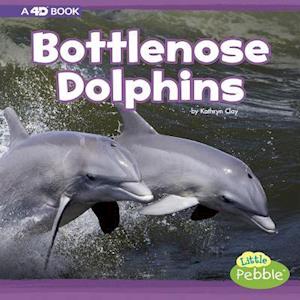 Bottlenose Dolphins