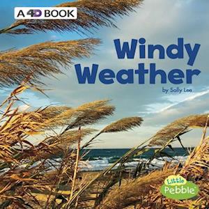 Windy Weather