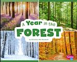 A Year in the Forest