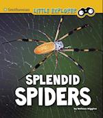 Splendid Spiders