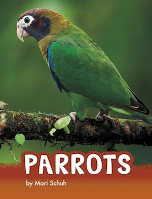 Parrots