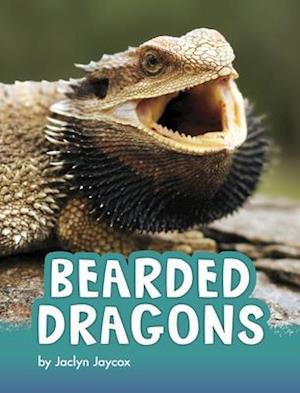 Bearded Dragons