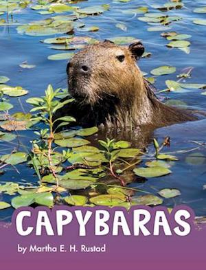 Capybaras