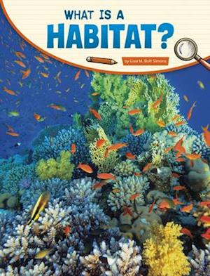 What Is a Habitat?