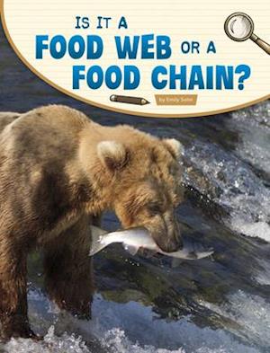 Is It a Food Web or a Food Chain?