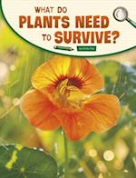 What Do Plants Need to Survive?