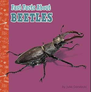 Fast Facts about Beetles