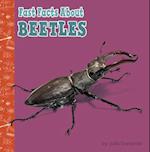 Fast Facts about Beetles