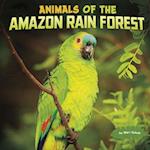 Animals of the Amazon Rain Forest