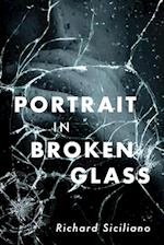 Portrait in Broken Glass