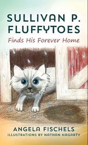 Sullivan P. Fluffytoes Finds His Forever Home