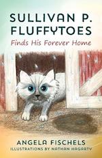 Sullivan P. Fluffytoes Finds His Forever Home 