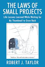 The Laws of Small Projects