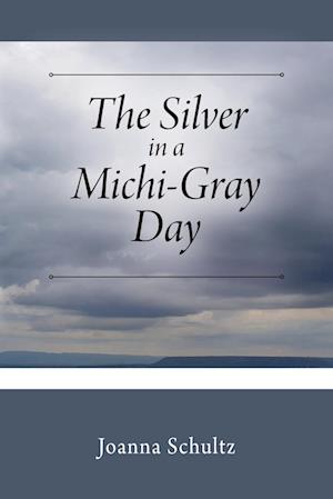 The Silver in a Michi-Gray Day