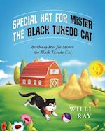 Special Hat for Mister the Black Tuxedo Cat