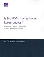Is the USAF Flying Force Large Enough?