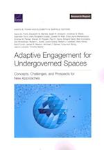 Adaptive Engagement for Undergoverned Spaces: Concepts, Challenges, and Prospects for New Approaches 