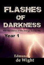 Flashes of Darknes - Year 1