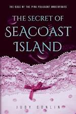 The Secret of Seacoast Island