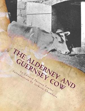 The Alderney and Guernsey Cow