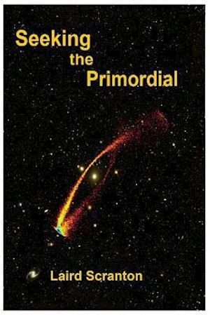Seeking the Primordial