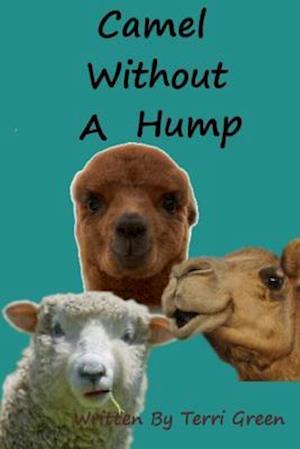 Camel Without a Hump