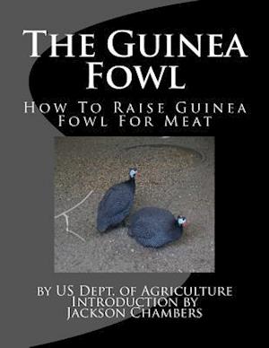 The Guinea Fowl