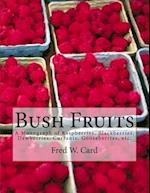 Bush Fruits