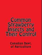 Common Strawberry Insects and Their Control