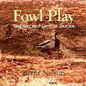 Fowl Play