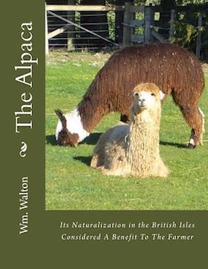 The Alpaca