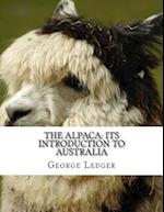 The Alpaca