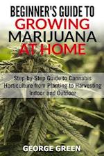 Beginner's Guide to Growing Marijuana at Home